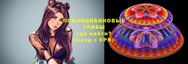 кокс Арсеньев