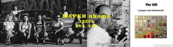 кокс Арсеньев