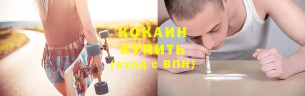 кокс Арсеньев
