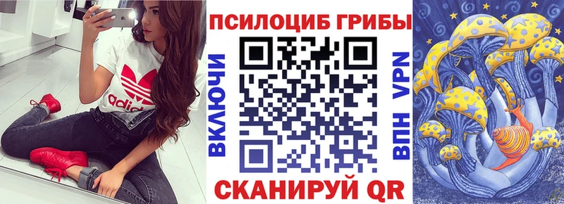 Галлюциногенные грибы Psilocybine cubensis  мега сайт  Белокуриха 